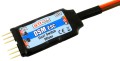 DSM Esc