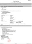 Icon of ZAP-A-GAP Safetydatasheet (english)