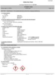 Icon of ZAP Quickset 5-Minute EPOXY (Resin) Safetydatasheet (english)
