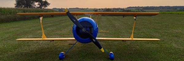 Pitts Viking